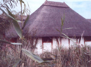 wetlands hide